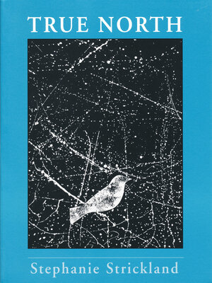 cover image of True North